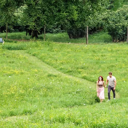 Meister فندق ريغرسبورغ