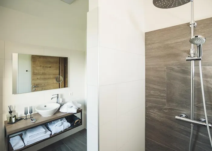 Meister * ريغرسبورغ