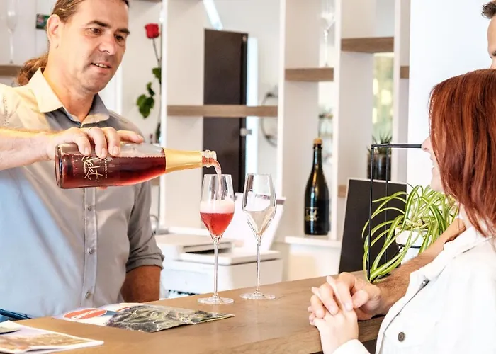 Meister * ريغرسبورغ