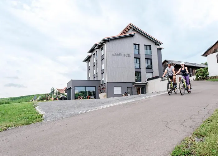 Meister ريغرسبورغ