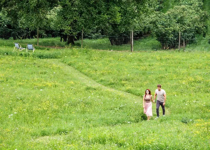 Meister فندق ريغرسبورغ